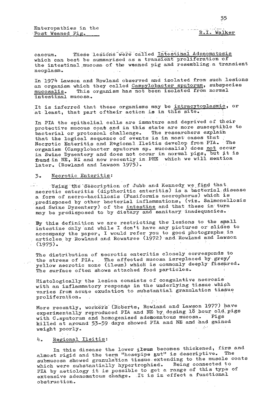 1978 page 55